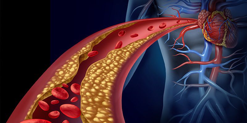 Sistem Peredaran Darah Jantung